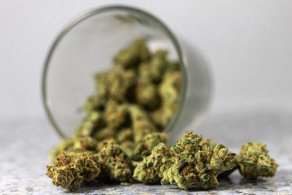 Vente de CBD en boutique : ce que dit la loi en 2026